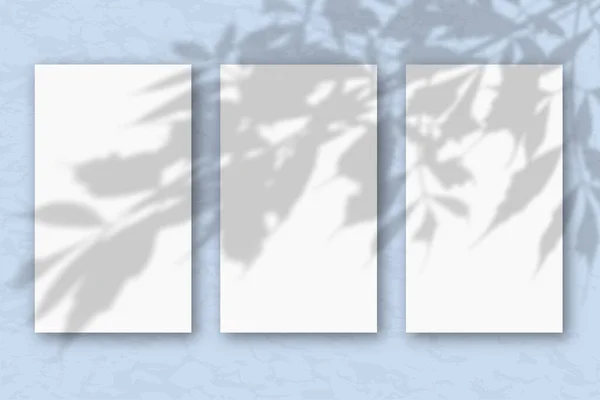 Folhas Verticais Papel Texturizado Branco Fundo Parede Azul Pastel Mockup — Fotografia de Stock