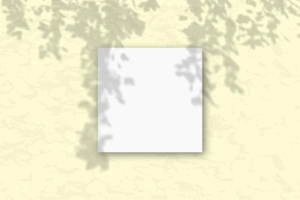 黄色の壁に対して白いテクスチャ紙の1平方シート 植物の影とモックアップオーバーレイ 自然の光は木の葉から影を投げかける フラットレイアウト トップビュー — ストック写真