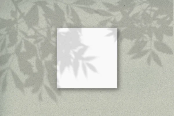Folha Quadrada Papel Texturizado Branco Contra Uma Parede Cinza Verde — Fotografia de Stock