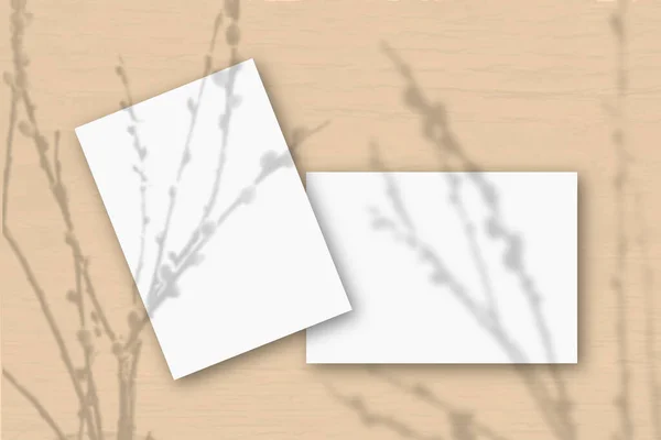 Lap Fehér Texturált Papír Egy Rózsaszín Falhoz Mockup Overlay Növény — Stock Fotó