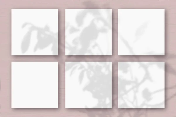 6 folhas quadradas de papel branco texturizado no fundo da parede rosa. Mockup se sobrepõe às sombras das plantas. Luz natural lança sombras de uma planta exótica.. Flat lay, vista superior — Fotografia de Stock