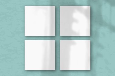 Mavi yeşil duvar arka planında 4 kare beyaz desenli kağıt. Bitki gölgelerinden oluşan bir yerleşim yeri. Doğal ışık pencereden gölgeler salıyor. Düz yerde, üst tarafta. Yatay yönelim