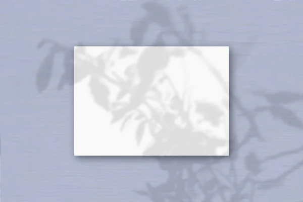 Horizontal Sheet White Textured Paper Lilac Wall Background Mockup Overlay — Stock Photo, Image