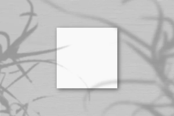 Τετράγωνο Φύλλο Από Λευκό Χαρτί Γκρι Φόντο Τοίχου Mockup Επικαλύπτονται — Φωτογραφία Αρχείου