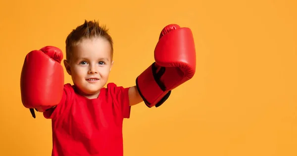 Netter kleiner Junge mit Boxhandschuhen — Stockfoto