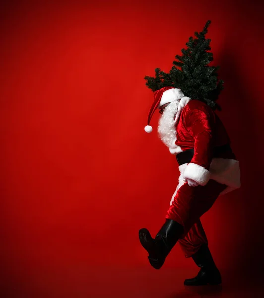 Ο χοντρός Άγιος Βασίλης κουβαλάει ένα βαρύ χριστουγεννιάτικο δέντρο στον ώμο του σε κόκκινο φόντο. Νέο έτος και Καλά Χριστούγεννα και καλές γιορτές έννοια — Φωτογραφία Αρχείου