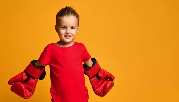 Lindo niño con guantes de boxeo — Foto de Stock