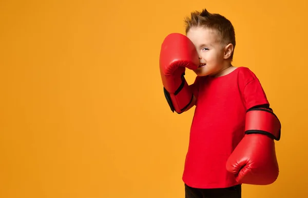 Roztomilý chlapeček s boxerskými rukavicemi — Stock fotografie