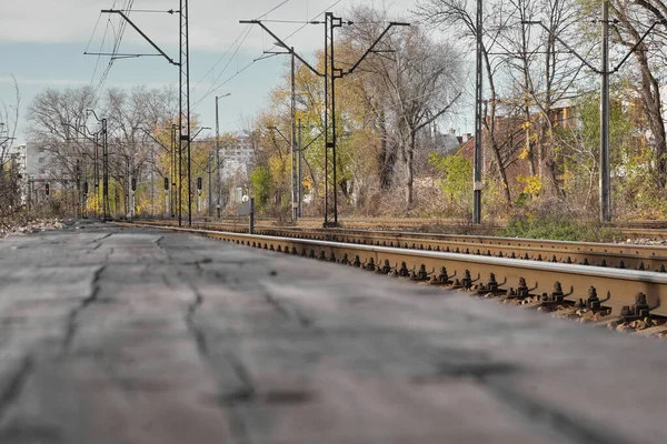 La antigua estación abandonada y las carreteras de acceso, la planta de arrastre envolvió los carriles y traviesas. ramas de uvas silvestres crecen llenado todo el espacio para el tiempo de no uso. semáforos antiguos y — Foto de Stock