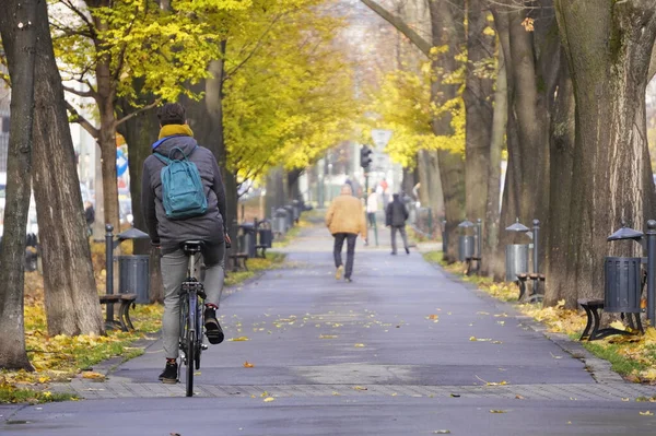 Cara alto com um lenço amarelo, uma mochila azul e uma jaqueta cinza está montando uma bicicleta ao longo da Avenida do Parque de Outono. caminho molhado após a chuva, folhas amarelas caídas. a parte de trás de um homem montando uma bicicleta — Fotografia de Stock