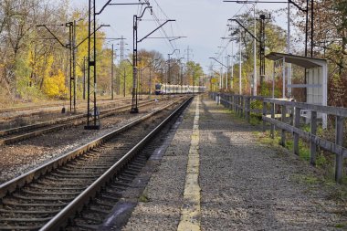 Polonya, Krakow, şehirde çevre dostu tramvay, Park 'ta turistik güzergah, güz şehrinde yürümek, modern elektrikli arabalar. Terk edilmiş eski istasyon ve yollar..