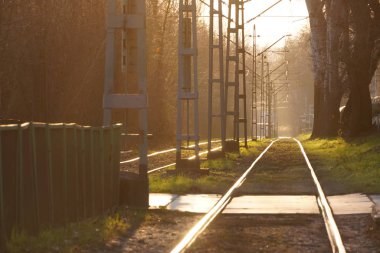 Şehir tramvayları gün batımının ışınları altında yumuşak, parlak arka plan güneşi, kablolarda, tramvaylarda ve raylarda parlıyor. Çerçevede ışık var. Şehrin çevresindeki demiryolu. Ormanın yakınındaki park, karıncalarda raylar.