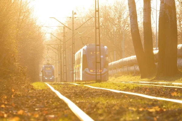 Tranvías de la ciudad en los rayos de la puesta del sol suave y brillante luz de fondo sol, deslumbramiento en los cables, tranvías y rieles. luz en el marco. ferrocarril en el entorno de la ciudad Parque cerca del bosque, carriles en los gras — Foto de Stock