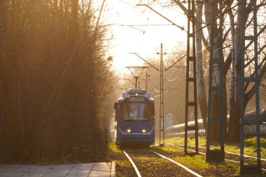 Şehir tramvayları gün batımının ışınları altında yumuşak, parlak arka plan güneşi, kablolarda, tramvaylarda ve raylarda parlıyor. Çerçevede ışık var. Şehrin çevresindeki demiryolu. Ormanın yakınındaki park, karıncalarda raylar.