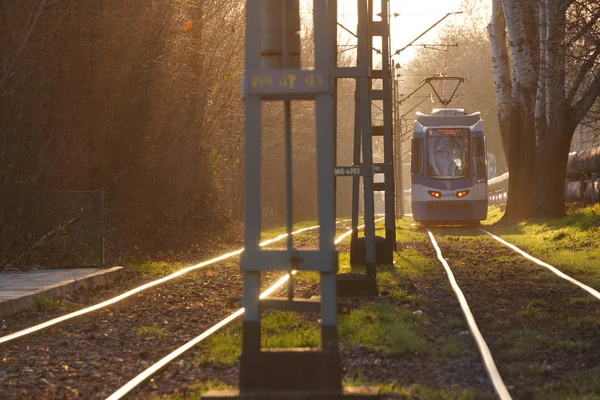 Şehir tramvayları gün batımının ışınları altında yumuşak, parlak arka plan güneşi, kablolarda, tramvaylarda ve raylarda parlıyor. Çerçevede ışık var. Şehrin çevresindeki demiryolu. Ormanın yakınındaki park, karıncalarda raylar. — Stok fotoğraf