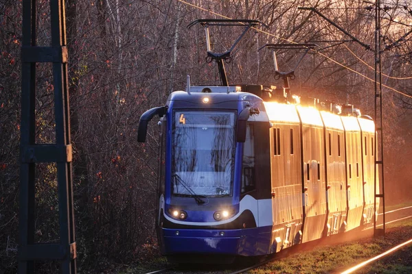 Stadtbahnen in den Strahlen des Sonnenuntergangs weiche helle Gegenlicht-Sonne, Blendung auf den Drähten, Straßenbahnen und Schienen. Licht im Rahmen. Eisenbahn im Umfeld des Stadtparks in der Nähe des Waldes, Schienen im Gras — Stockfoto