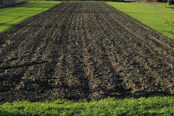 Campo de primavera arado. preparación para la siembra de plantas. Tierra negra, tierra negra cubre entre la hierba verde joven en el campo. Negro y verde — Foto de Stock