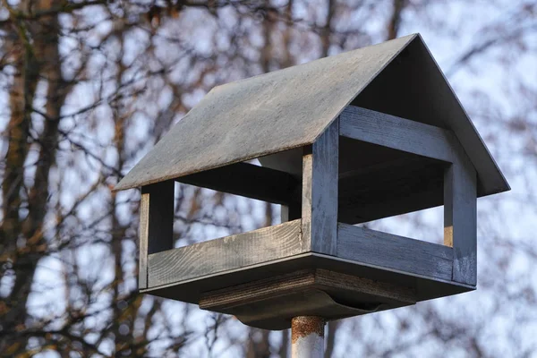 Parktaki ahşap kuş yemliği, sonbahar ormanı ve ağaçların arka planında bir ev şeklinde yapılmış. Kışın beslenen kuşlar — Stok fotoğraf