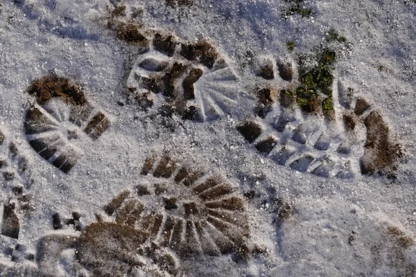 Två fotspår på snön på grusbanan. Den första lätta snön. Skoavtryck i smältande snö. konceptet. fotspår i nysnö — Stockfoto