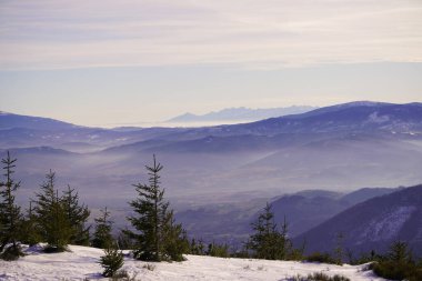 Szczyrk 'teki bir dağın zirvesindeki gözleme platformundan kış ve karlı manzaranın panoramik görüntüsü, Beskid Dağları' nın Skrzyczne yerleşimi. Ekran koruyucu, telif alanı veya doğal arkaplan.