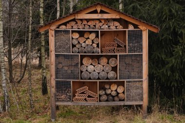 Arılar ve böcekler için farklı doğal maddelerden yapılmış bir ev. Böcek oteli ya da barınak, boş böcek oteli yakın görüş. Böceklere yuva olanakları sağlayın.