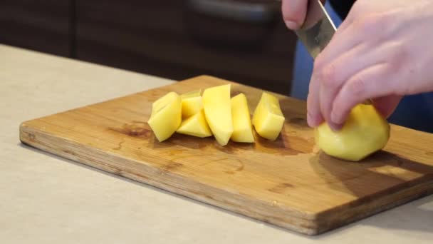 女性は鍋を背景にナイフで生の新鮮な黄色のジャガイモを切り取り 自家製の食べ物を調理する — ストック動画