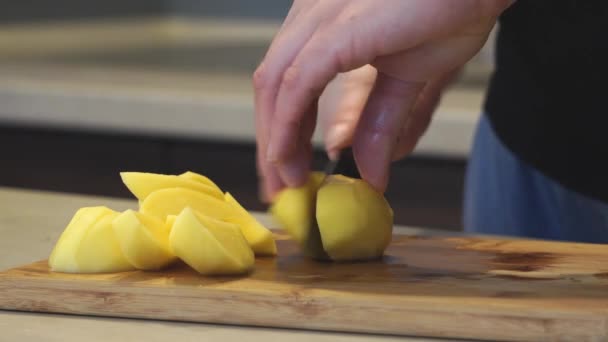 Woman Cuts Raw Fresh Yellow Potatoes Pieces Knife Background Pot — Stock Video