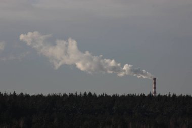 bir kırmızı ve beyaz boru gri duman veya gökyüzü açık gün orman içinde buhar ile. emisyon atmosfer, çevre koruma, Dünya saati içine atık