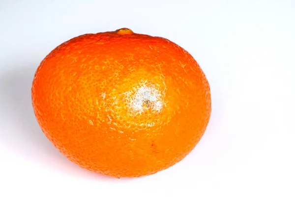 Orange Tangerine Dengan Cetakan Pada Latar Belakang Putih Produk Rusak — Stok Foto