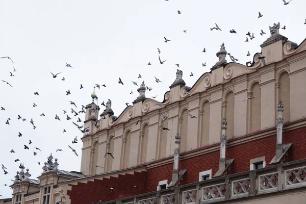 Manada Aves Palomas Vuela Sobre Antiguo Edificio Cracovia Polonia Plaza — Foto de Stock
