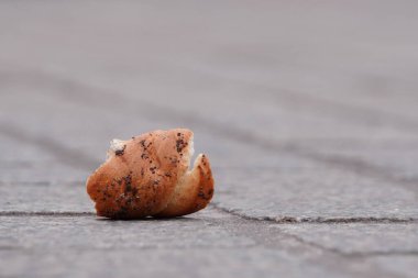 Kuşlar tarafından ısırılan bir çörek asfaltta uzanıyor, şehirdeki güvercinleri ve serçeleri besliyor. Yardım ve açlık grevi kavramı. Çavdar ekmeği yerde yatıyor. Soğuk mevsimde beslenen kuşlar