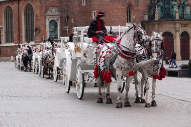 Krakow, Polonya 03.15.2020: Turizm şehrinin ana meydanında atlı at arabası. Turizm, şehir turizmi, turizm eğlencesi.