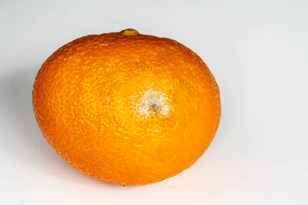 Orange Tangerine Dengan Cetakan Pada Latar Belakang Putih Produk Rusak — Stok Foto