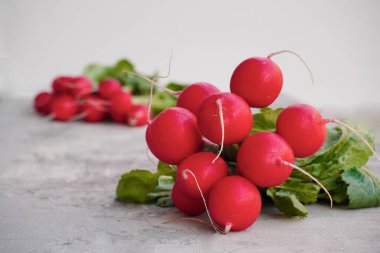 Yeşil kapaklı parlak pembe turplar betonun altında açık gri arka planda duruyor. Bahar sebzesi, çiğ, kopyalama alanı. Taze kırmızı yaz turpu. Üst Manzara. Metin için boşluk