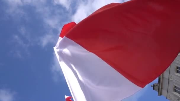 Polska Czerwono Biała Flaga Przeciwko Błękitnemu Niebu Dzień Flagi Stanu — Wideo stockowe