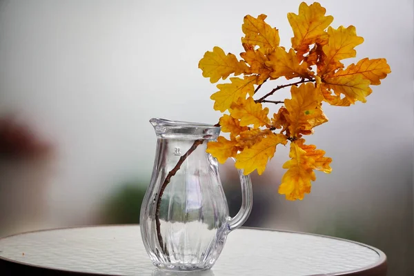 oak branch with yellow leaves stands on glass table in a glass jar or vase. autumn decor on a light background. copy space, change of season.