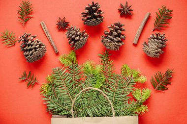 Spruce dalları kırmızı zemin üzerinde koni ve tarçın çubukları olan bir kağıt el işi çantasından görülebilir. Kopyalama alanı, düz. Hediyelerin süslendiği bir tatil fikri. Yeni yıl doğal konsepti.