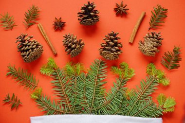 Spruce dalları kırmızı zemin üzerinde koni ve tarçın çubukları olan bir kağıt el işi çantasından görülebilir. Kopyalama alanı, düz. Hediyelerin süslendiği bir tatil fikri. Yeni yıl doğal konsepti.