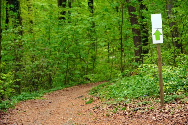 White sign or label with green arrow on stick on path in green spring or summer forest.Notification or direction of movement, information for tourists or people in nature. Juicy fresh greens