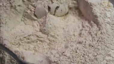 Kabartma tozu, baharat-karanfil, hindistan cevizi, zencefil, kakao ve tarçınla karıştır. Tabaktaki eğim renkleri, hamur için karışımın bir tepeciği. Evde zencefilli kurabiye ya da zencefilli ekmek pişir..