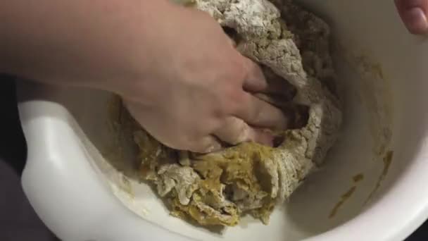 Mix Flour Baking Powder Spices Cloves Nutmeg Ginger Cocoa Cinnamon — Stock Video