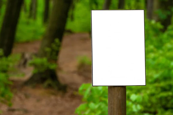 Sinal Branco Rótulo Pau Caminho Primavera Verde Floresta Verão Notificação — Fotografia de Stock