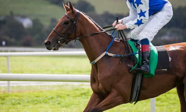 Detalle Cerca Caballo Carrera Jinete Trotando Pista Carreras — Foto de Stock