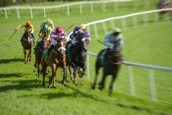 Cavalos Corrida Jóqueis Competindo Pela Posição Pista Corrida — Fotografia de Stock