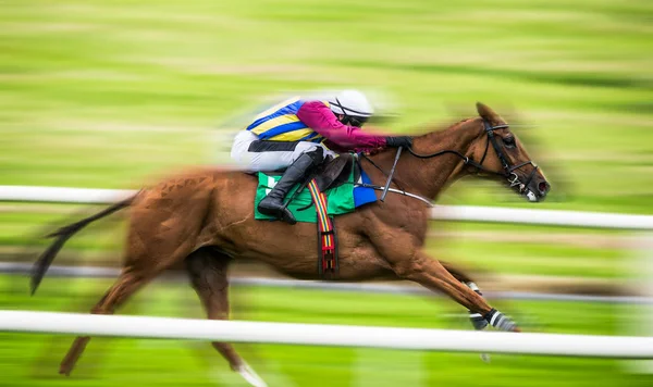 Galopperande Tävlingshäst Och Jockey Fortkörning Rörelse Oskärpa Effekt — Stockfoto