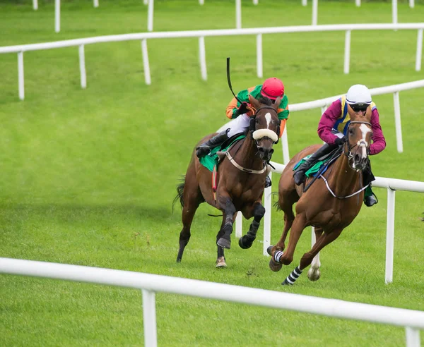 Dois Cavalos Corrida Jóqueis Competindo Pela Posição Pista Corrida — Fotografia de Stock