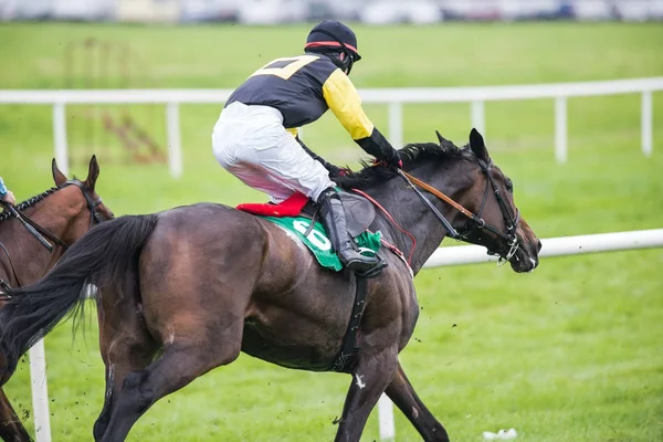 Cavalo Corrida Jockey — Fotografia de Stock