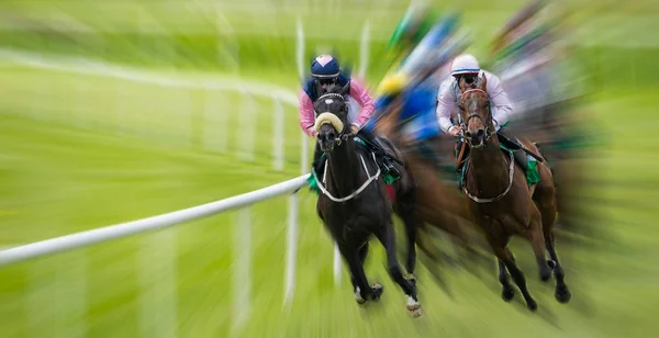 Horseracing Rörelseoskärpa Hastighet Effekt — Stockfoto