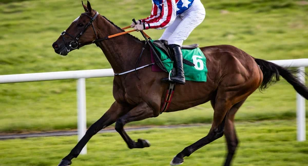 競馬アクション レース馬やジョッキーレースにパンニングモーションブラー効果を閉じます — ストック写真