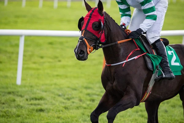 Cavallo Corsa Con Maschera Rossa Lampeggianti Galoppo Sulla Pista Corsa — Foto Stock